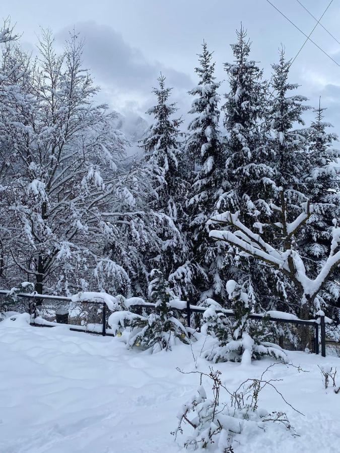 Vila Bohemian Chalet Buşteni Exteriér fotografie