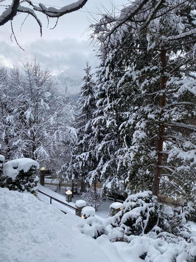 Vila Bohemian Chalet Buşteni Exteriér fotografie